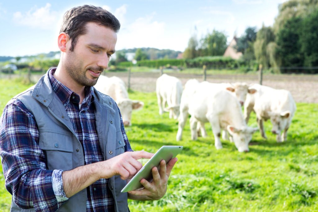 A man in a plaid shirt uses a tablet, showcasing the impact of IoT in industries, while standing in a grassy field with white cows grazing in the background.